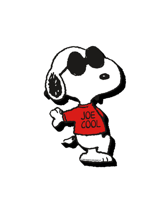 PEANUTS - Joe Cool Funky Chunky Magnet