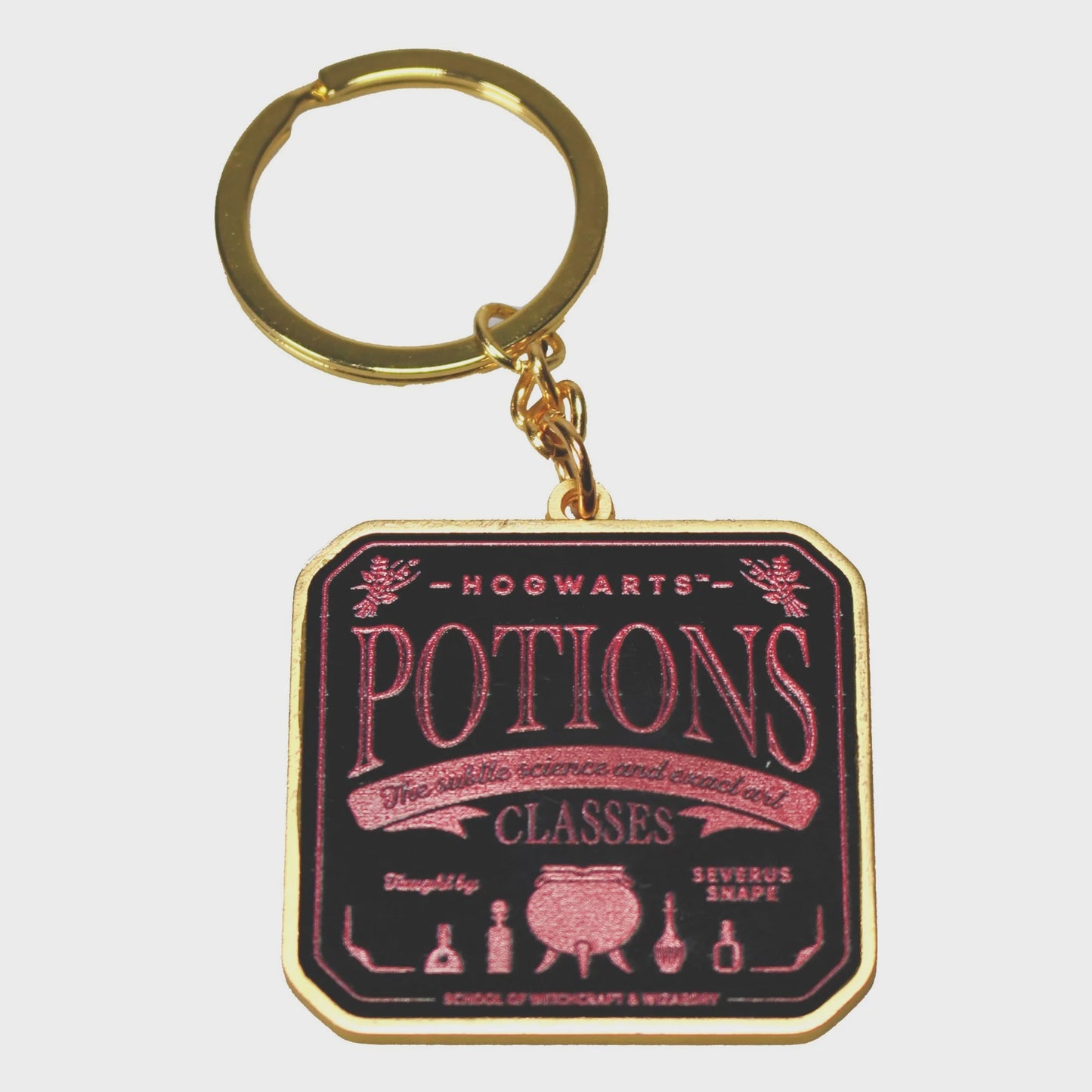 HARRY POTTER - Potions Metal Keyring